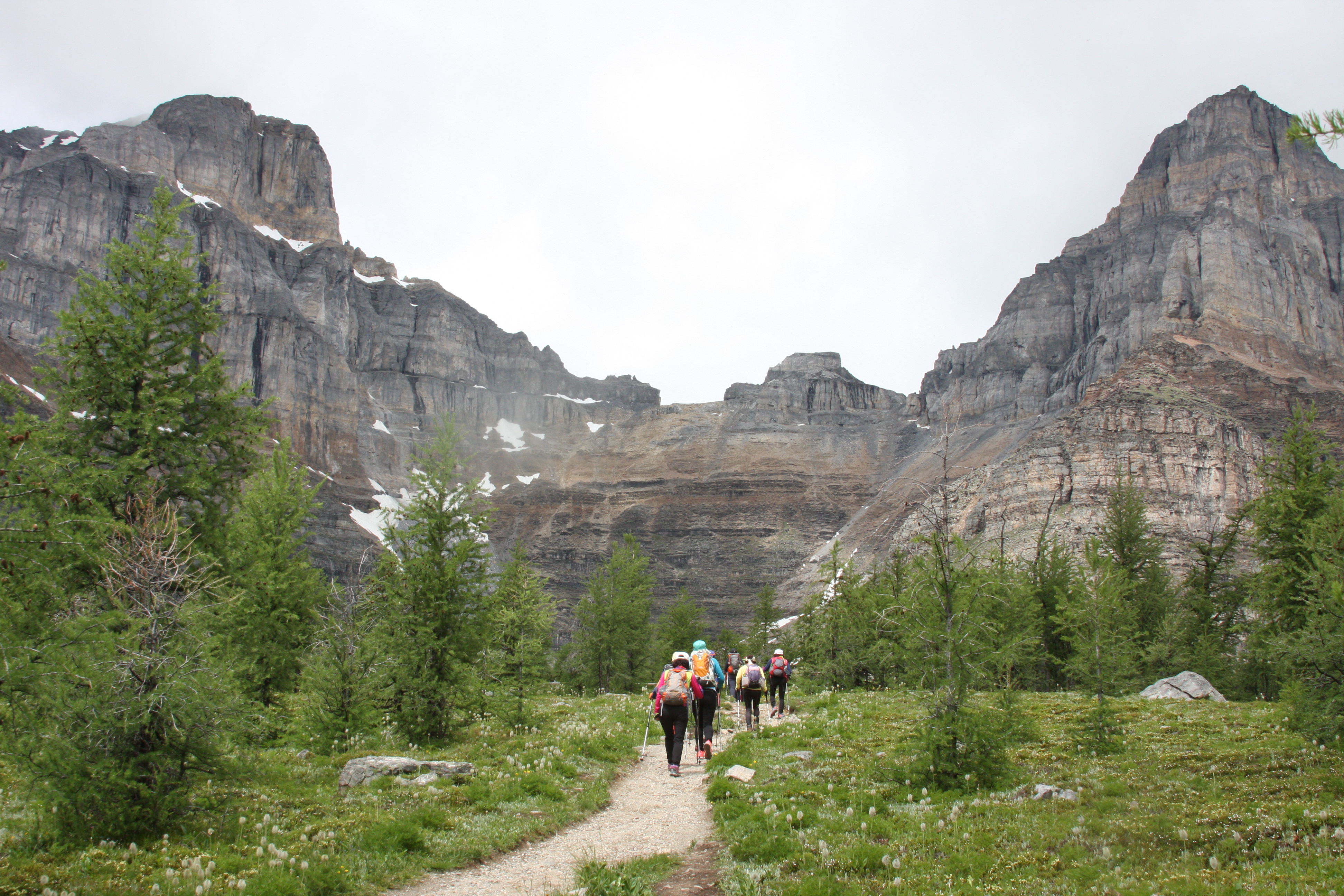 Free download high resolution image - free image free photo free stock image public domain picture -A group of friends on a hiking , Banff National Park