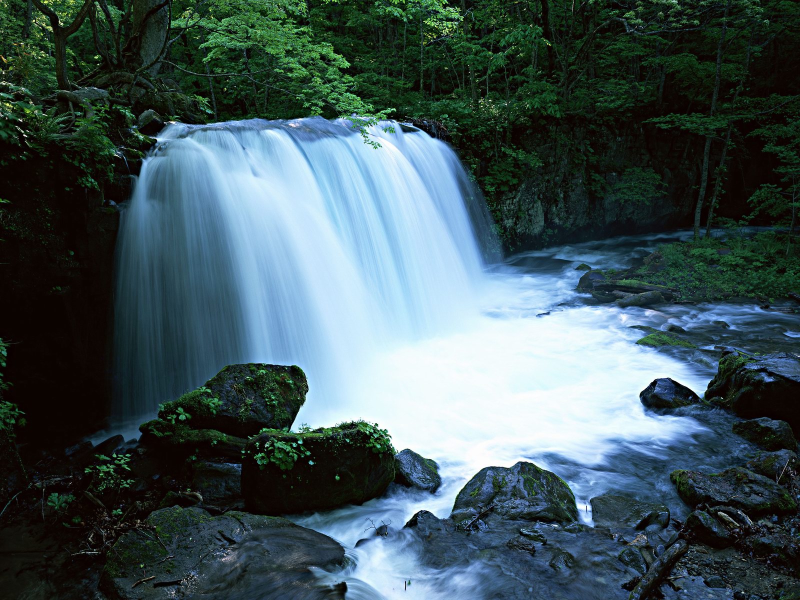 Free download high resolution image - free image free photo free stock image public domain picture -Water fall in spring season located in deep rain forest jungle