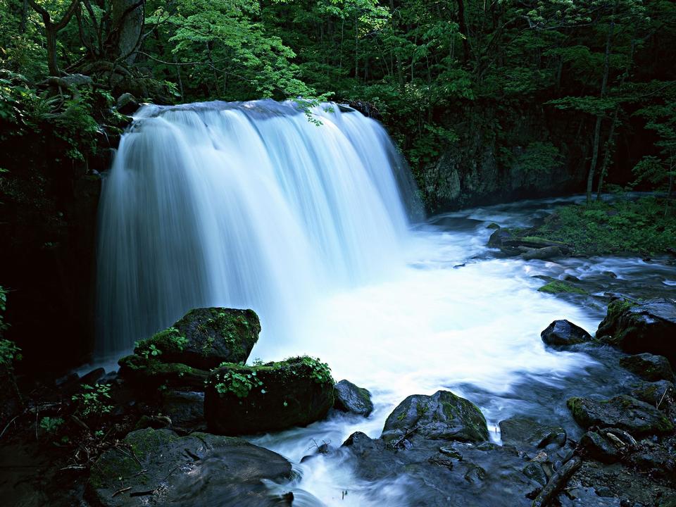 Free download high resolution image - free image free photo free stock image public domain picture  Water fall in spring season located in deep rain forest jungle