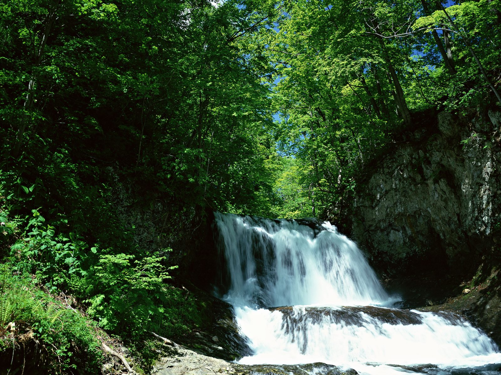 Free download high resolution image - free image free photo free stock image public domain picture -Waterfall in deep green forest