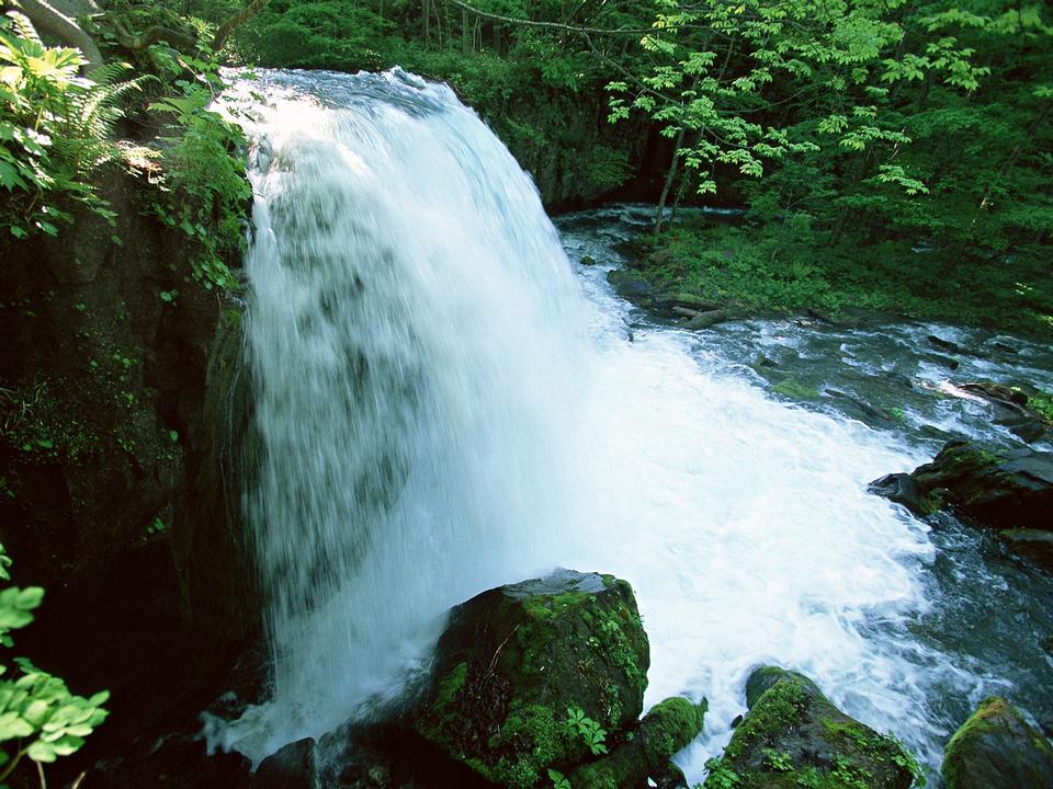 Free download high resolution image - free image free photo free stock image public domain picture  Deep jungle Waterfall