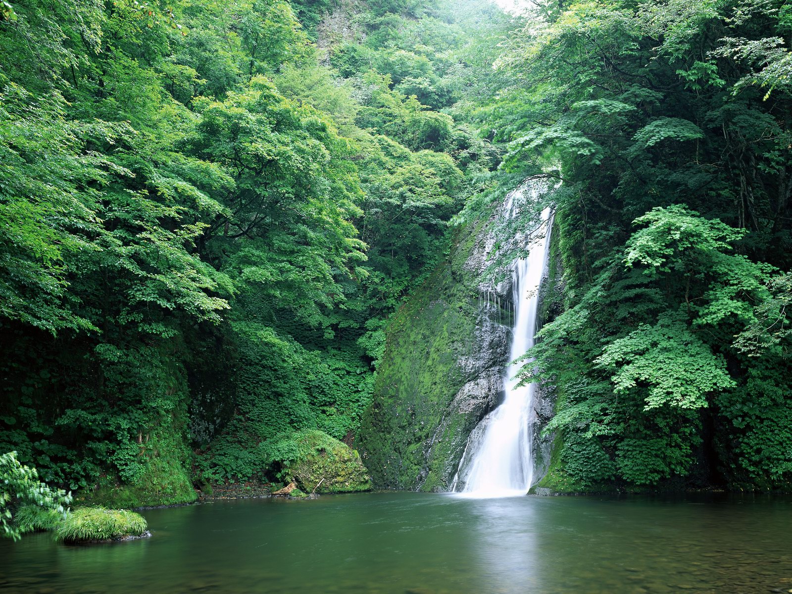 Free download high resolution image - free image free photo free stock image public domain picture -A waterfall and pond in a mountain stream in vertical perspective