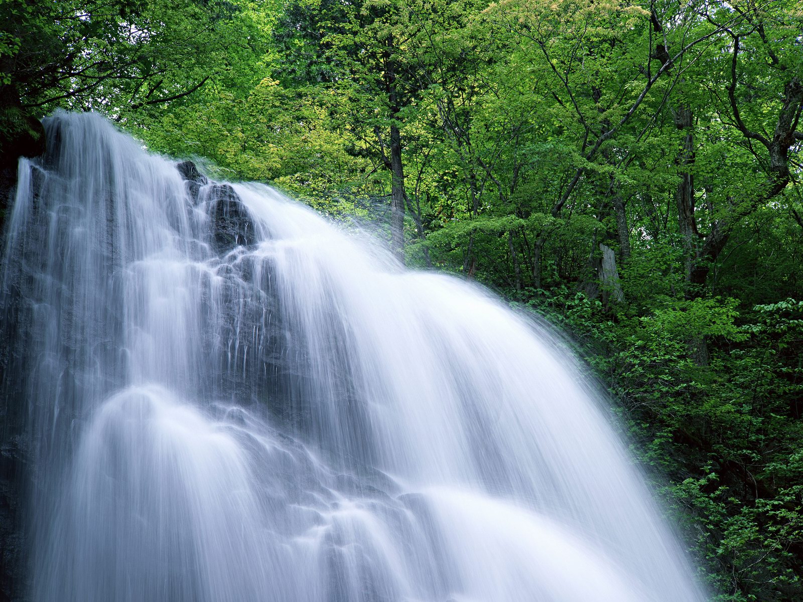 Free download high resolution image - free image free photo free stock image public domain picture -lime stone water fall