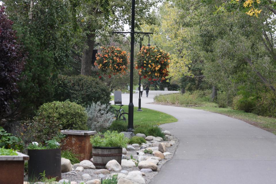 Free download high resolution image - free image free photo free stock image public domain picture  Prince's Island Park in Calgary