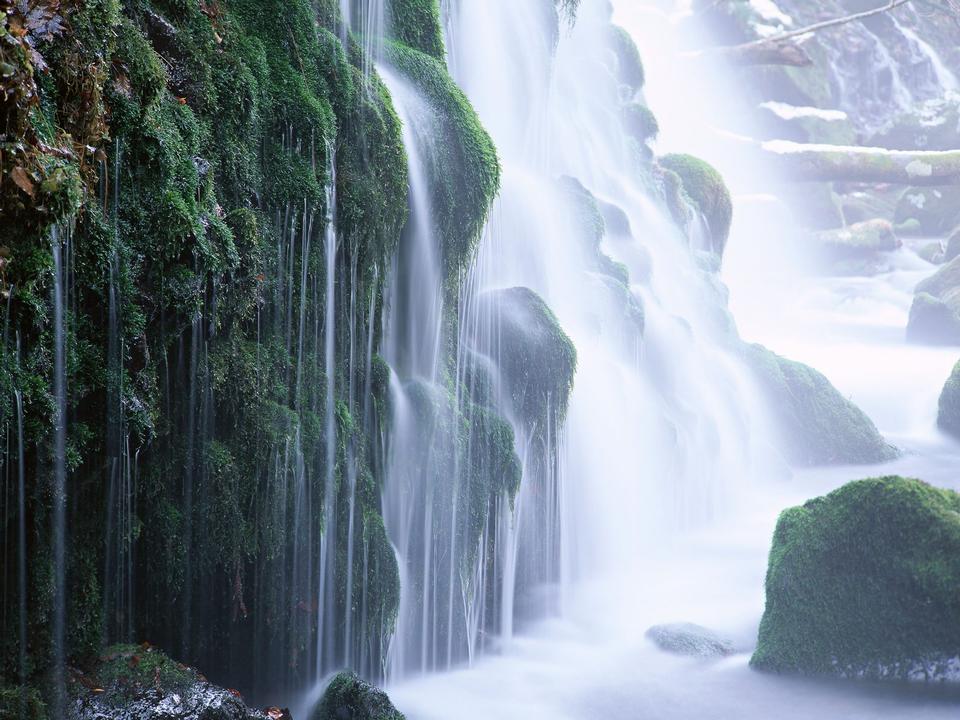 Free download high resolution image - free image free photo free stock image public domain picture  Deep forest Waterfall