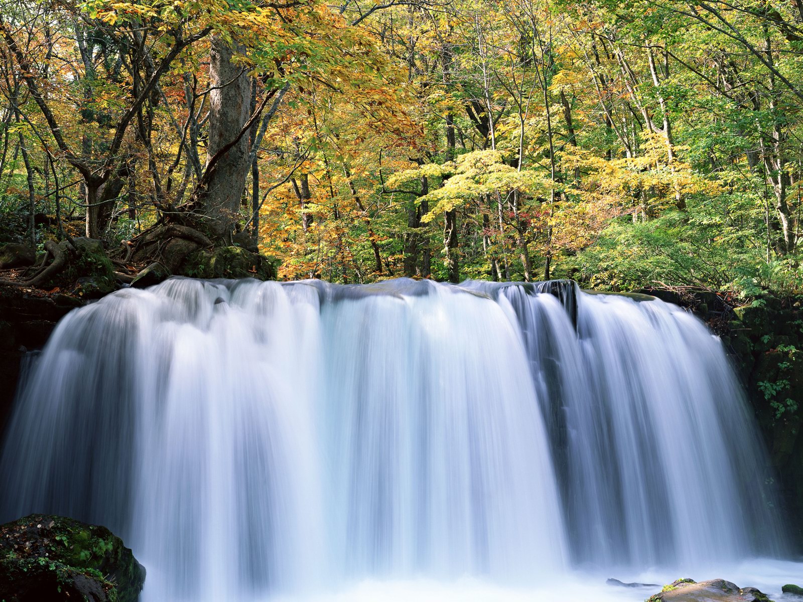 Free download high resolution image - free image free photo free stock image public domain picture -Waterfalls autumn creek in