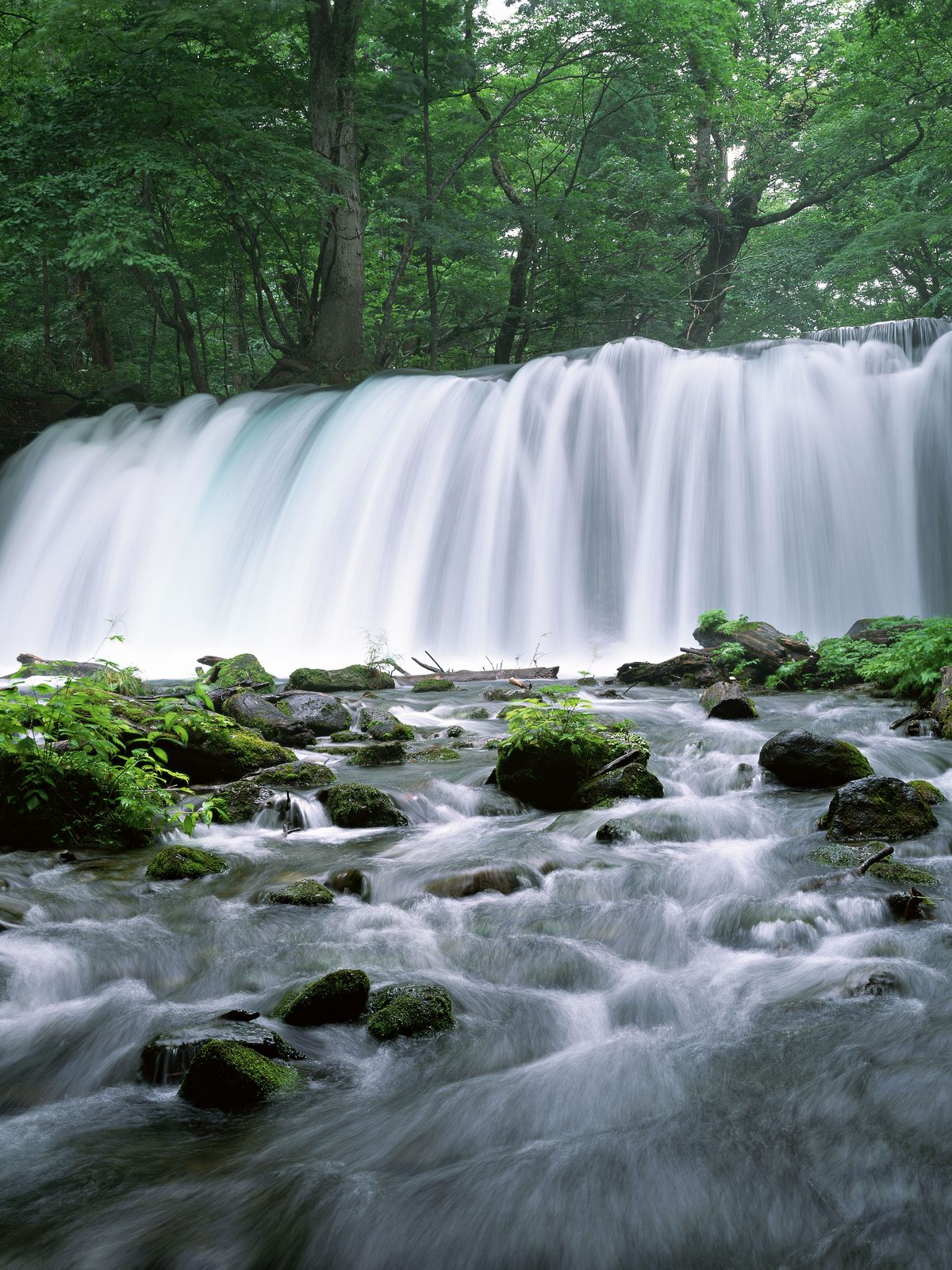 Free download high resolution image - free image free photo free stock image public domain picture -Magnificent waterfall