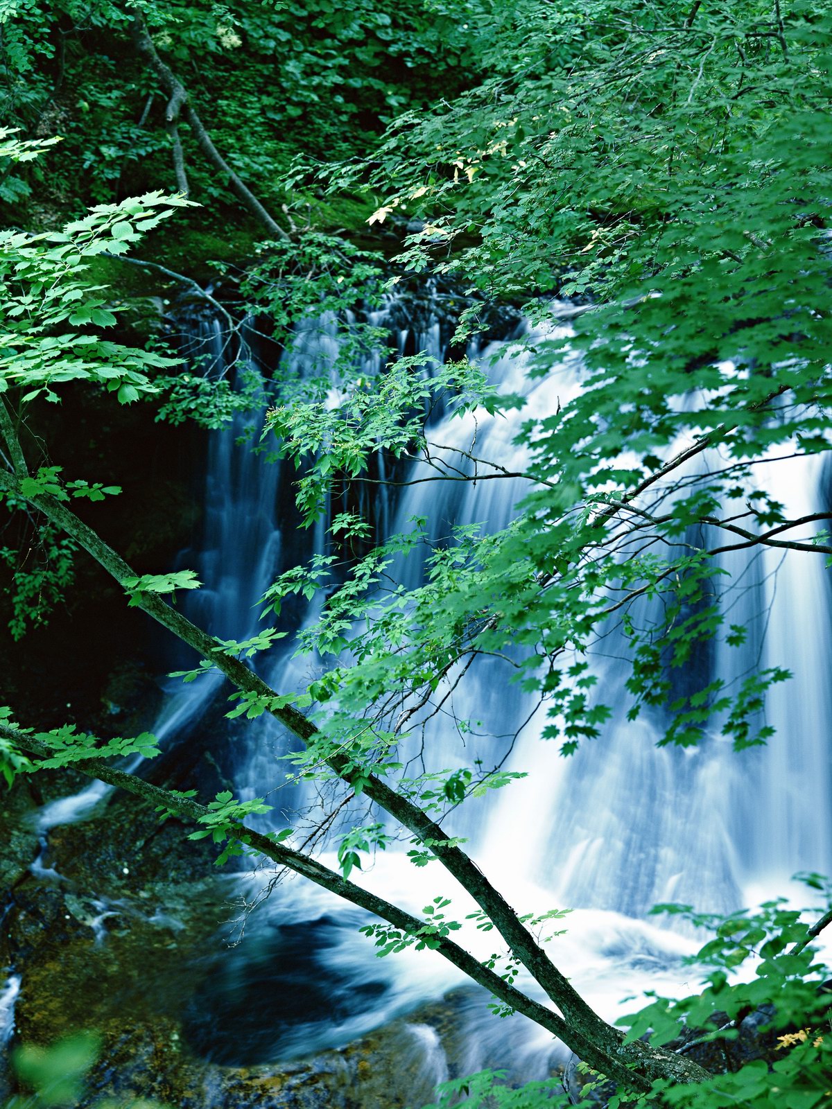 Free download high resolution image - free image free photo free stock image public domain picture -Waterfall in deep rain forest jungle