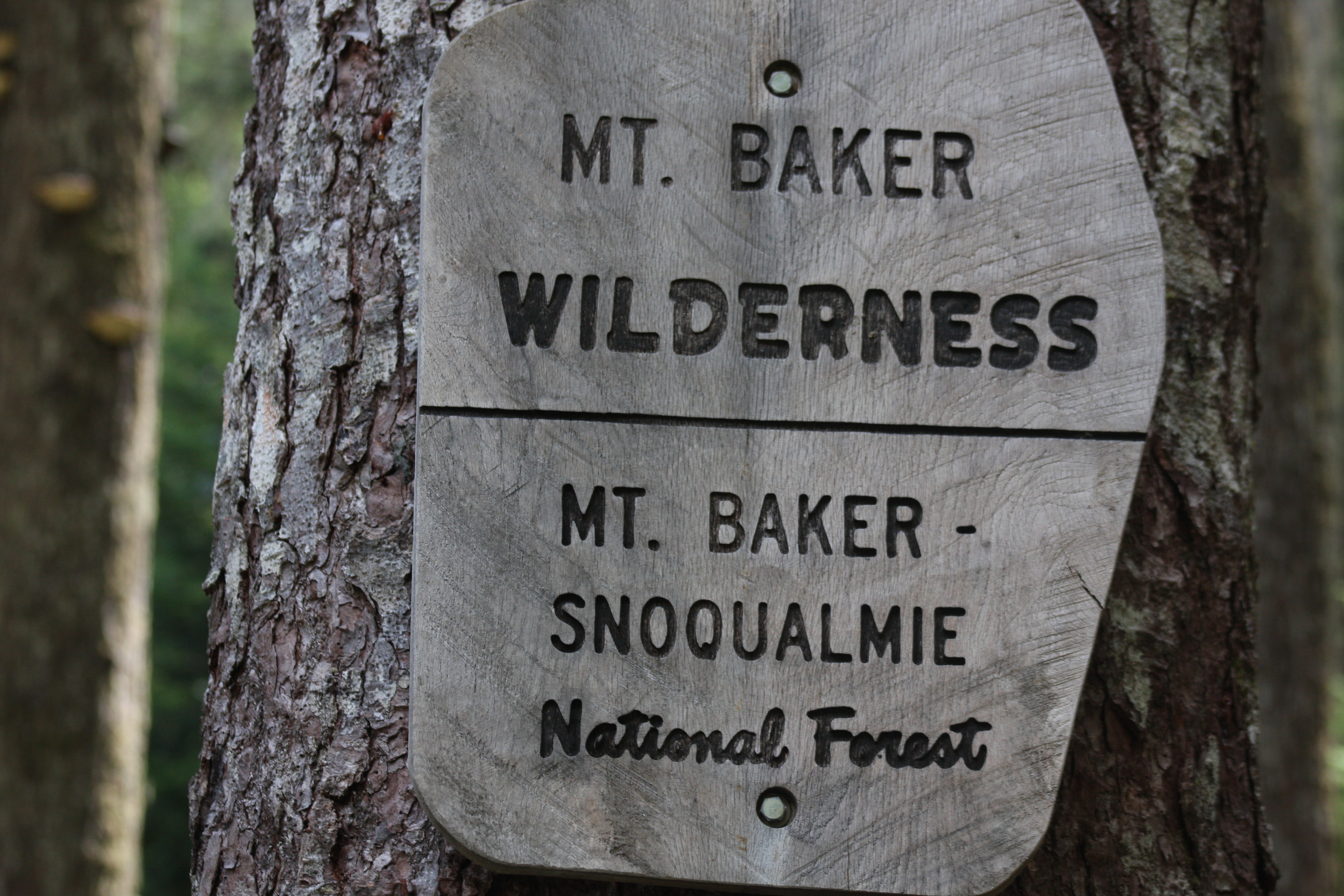 Free download high resolution image - free image free photo free stock image public domain picture -Sign for Mount Baker