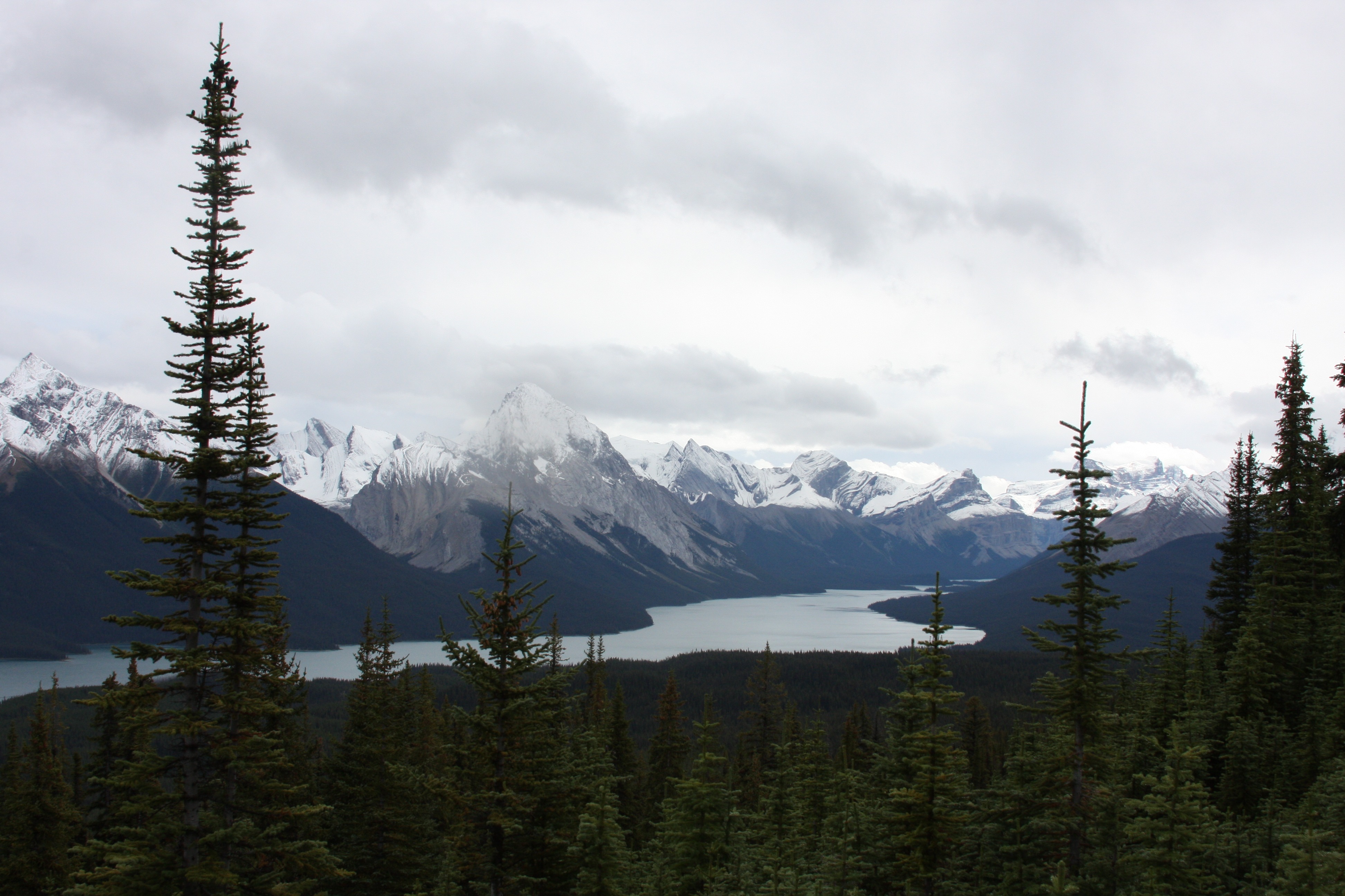 Free download high resolution image - free image free photo free stock image public domain picture -Jasper National Park of Canada  Bald Hills