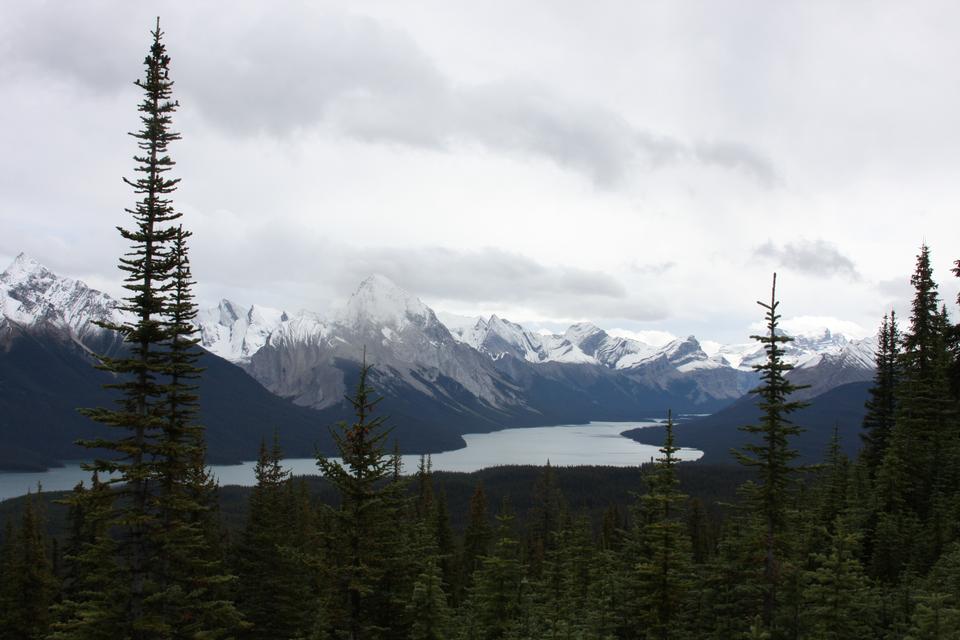 Free download high resolution image - free image free photo free stock image public domain picture  Jasper National Park of Canada  Bald Hills