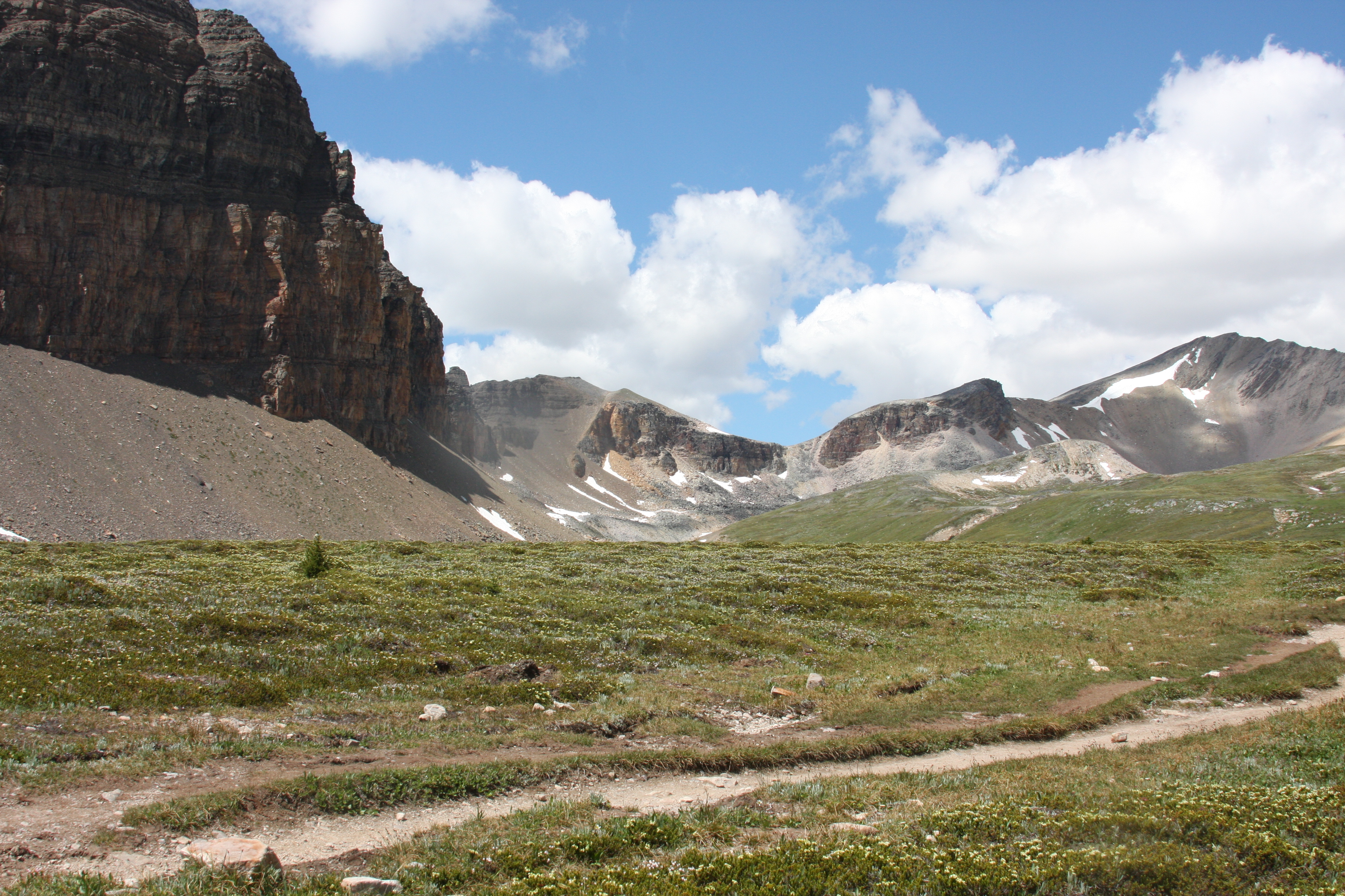 Free download high resolution image - free image free photo free stock image public domain picture -Niles Meadows, Yoho National Park British Columbia, Canada