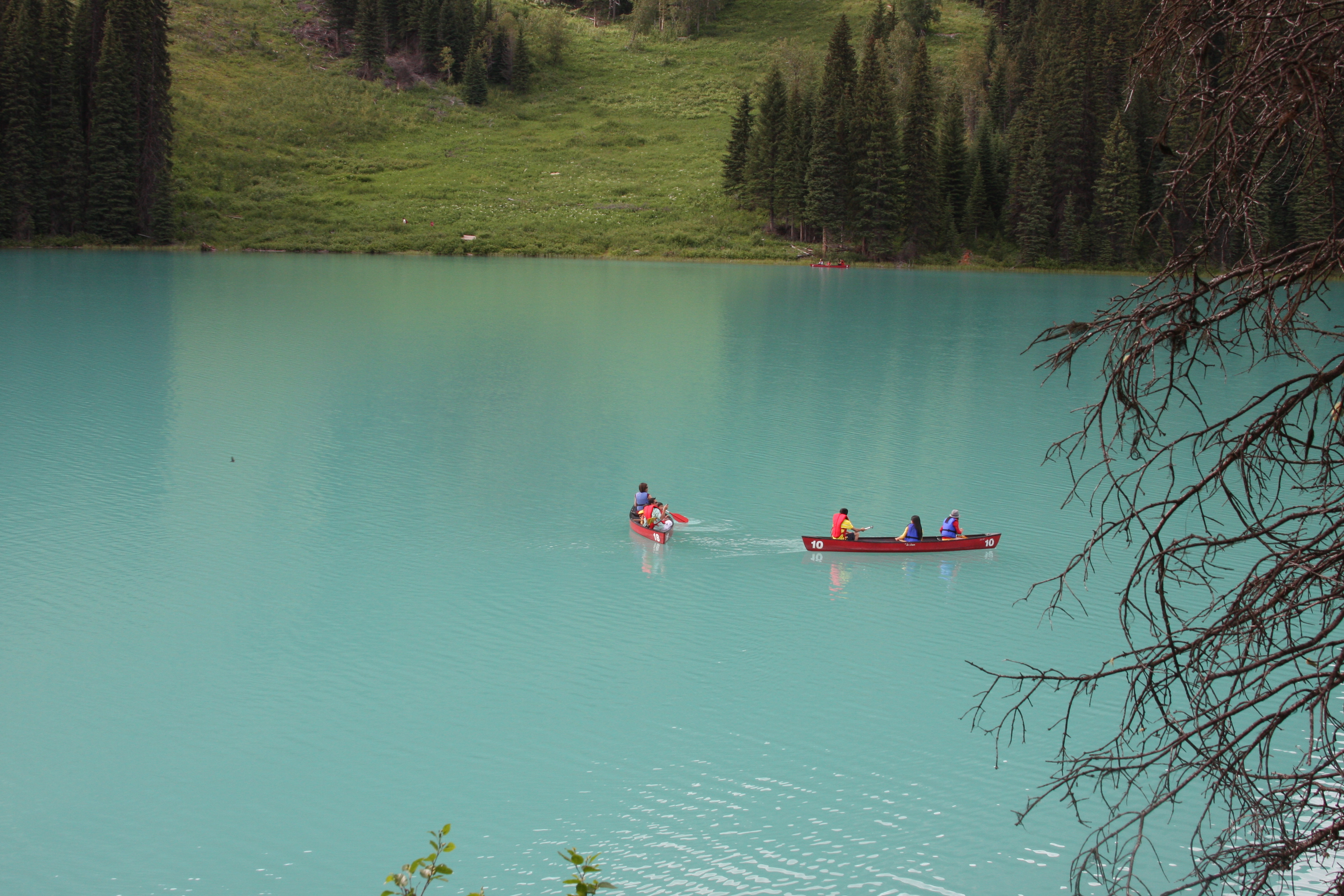 Free download high resolution image - free image free photo free stock image public domain picture -Emerald lake, Yoho National park, Canada