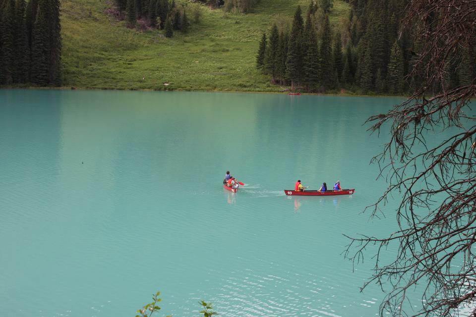 Free download high resolution image - free image free photo free stock image public domain picture  Emerald lake, Yoho National park, Canada