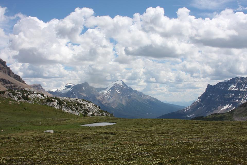 Free download high resolution image - free image free photo free stock image public domain picture  Niles Meadows, Yoho National Park British Columbia, Canada