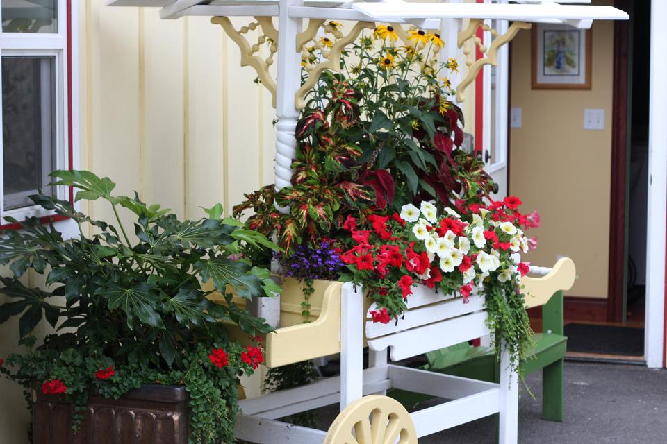 Free download high resolution image - free image free photo free stock image public domain picture  Flowers in wooden pot