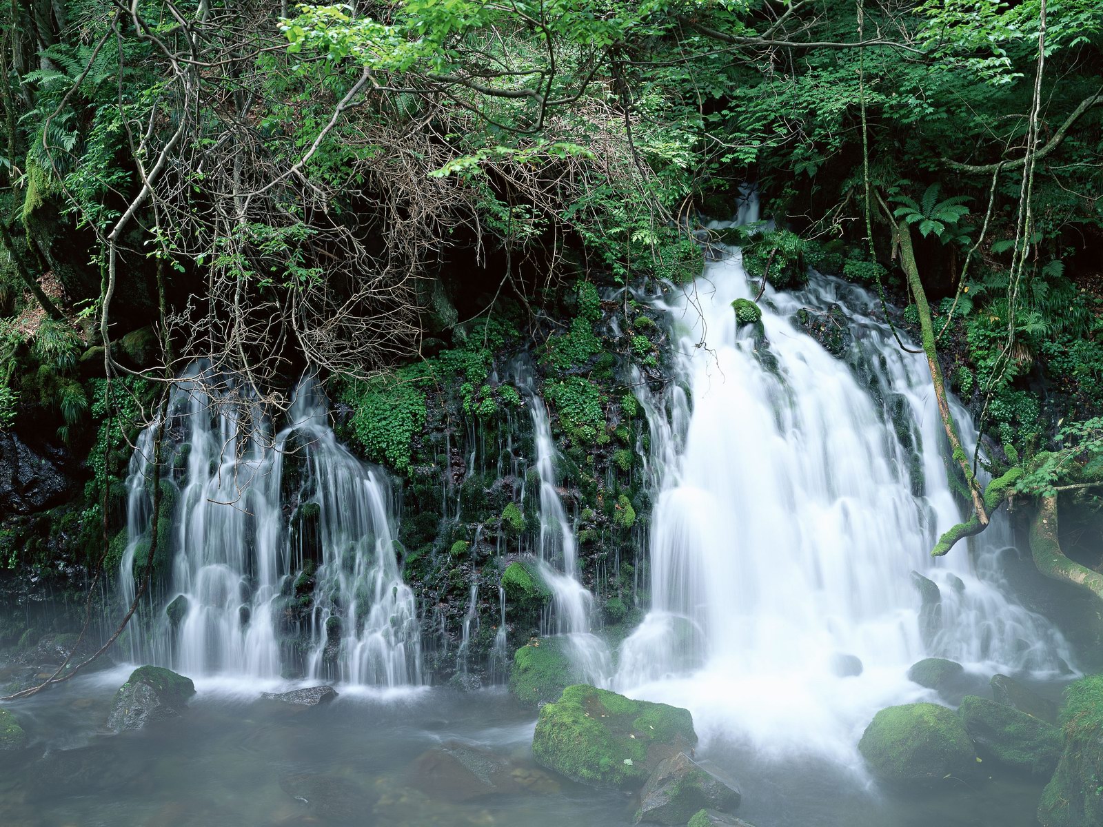 Free download high resolution image - free image free photo free stock image public domain picture -Small elbe waterfall