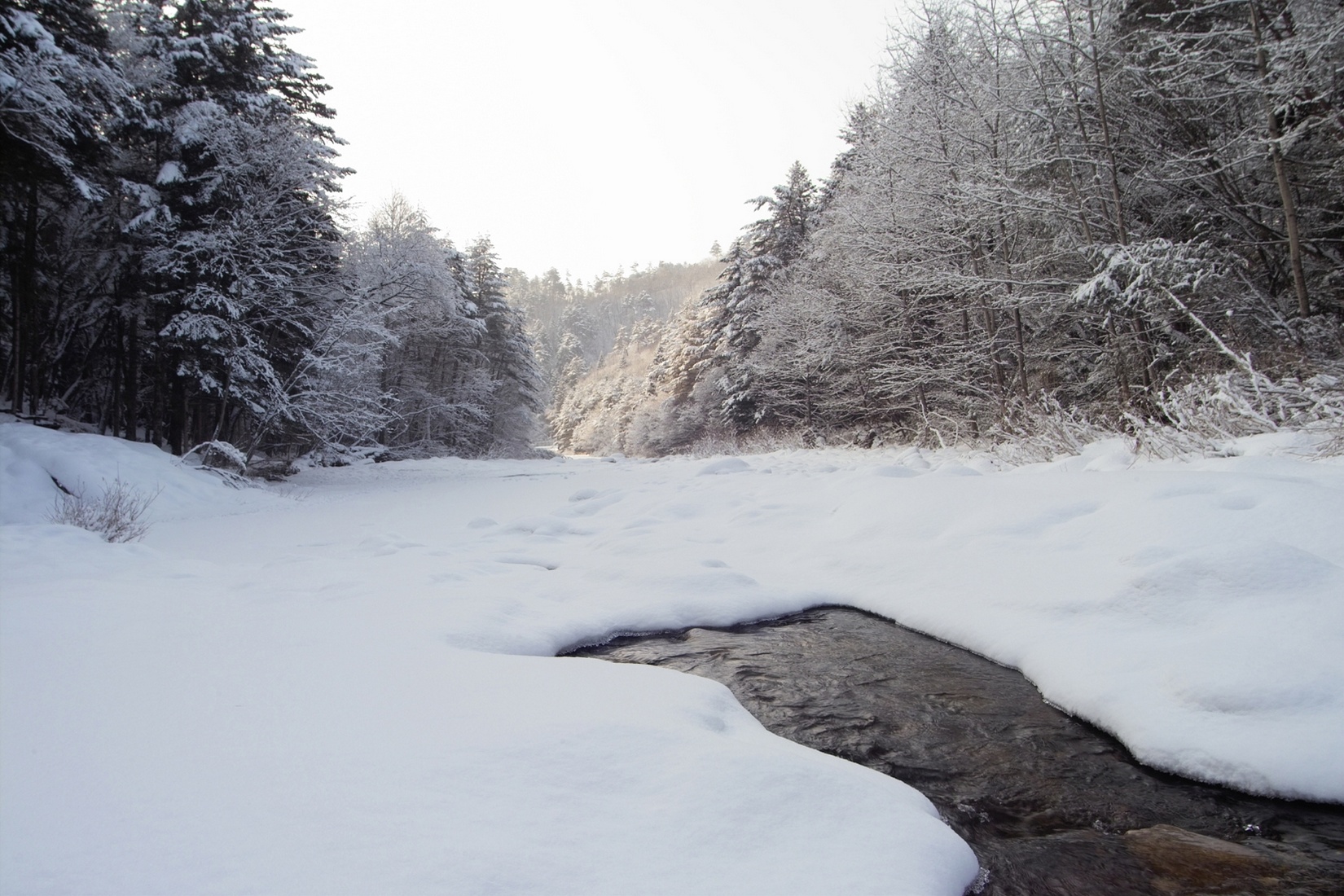 Free download high resolution image - free image free photo free stock image public domain picture -Winter landscape with river