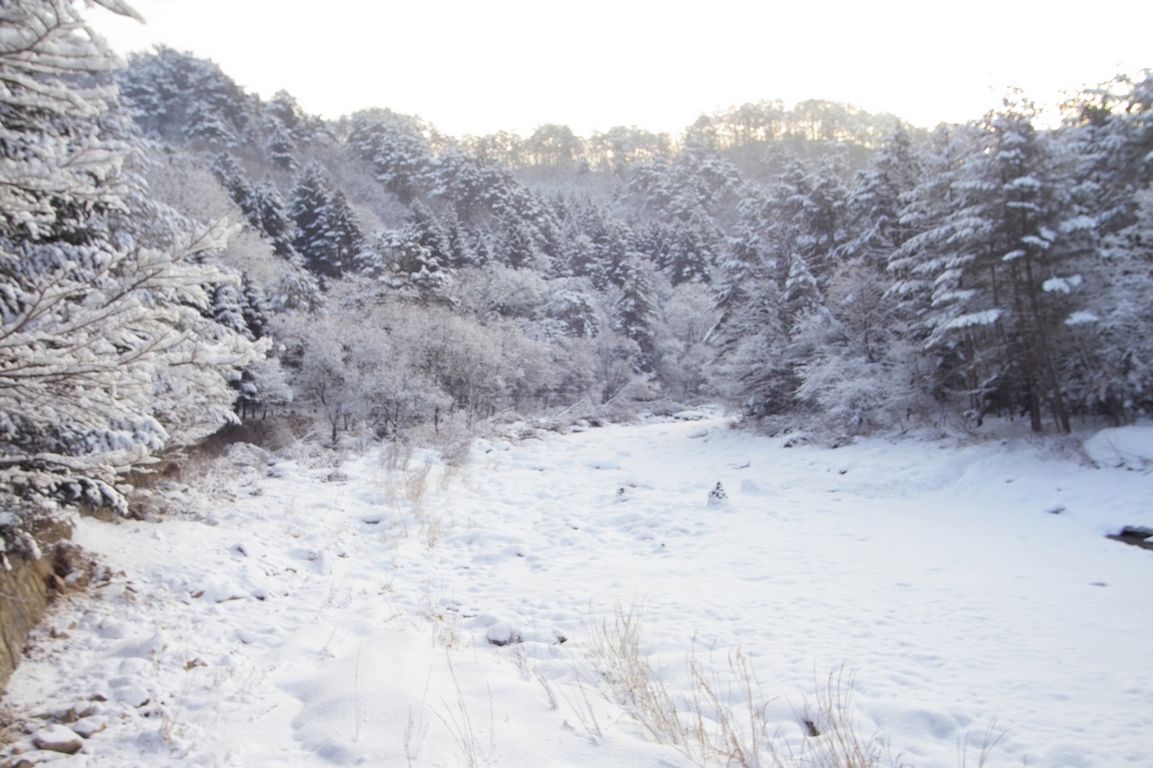 Free download high resolution image - free image free photo free stock image public domain picture -A Snow Covered Little Creek In Winter