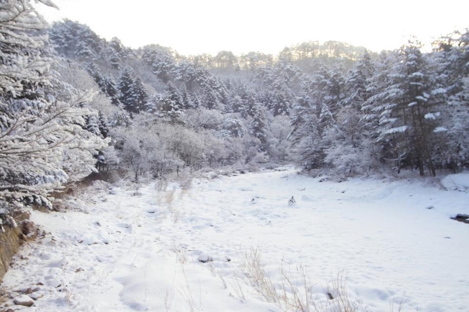 Free download high resolution image - free image free photo free stock image public domain picture  A Snow Covered Little Creek In Winter