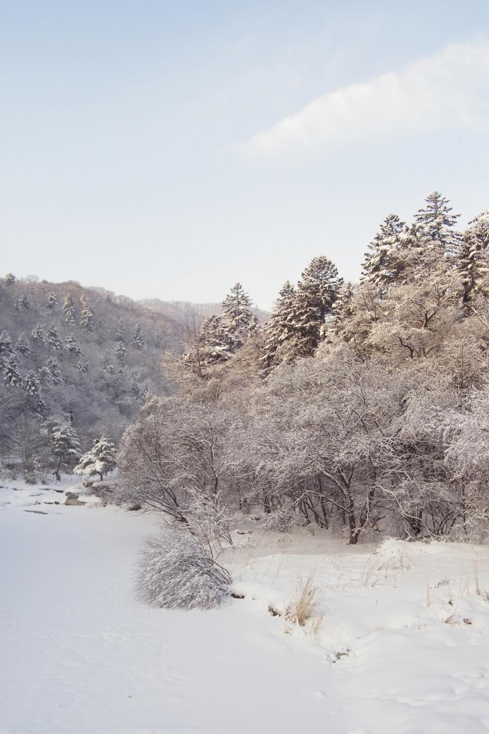 Free download high resolution image - free image free photo free stock image public domain picture  A Snow Covered Little Creek In Winter