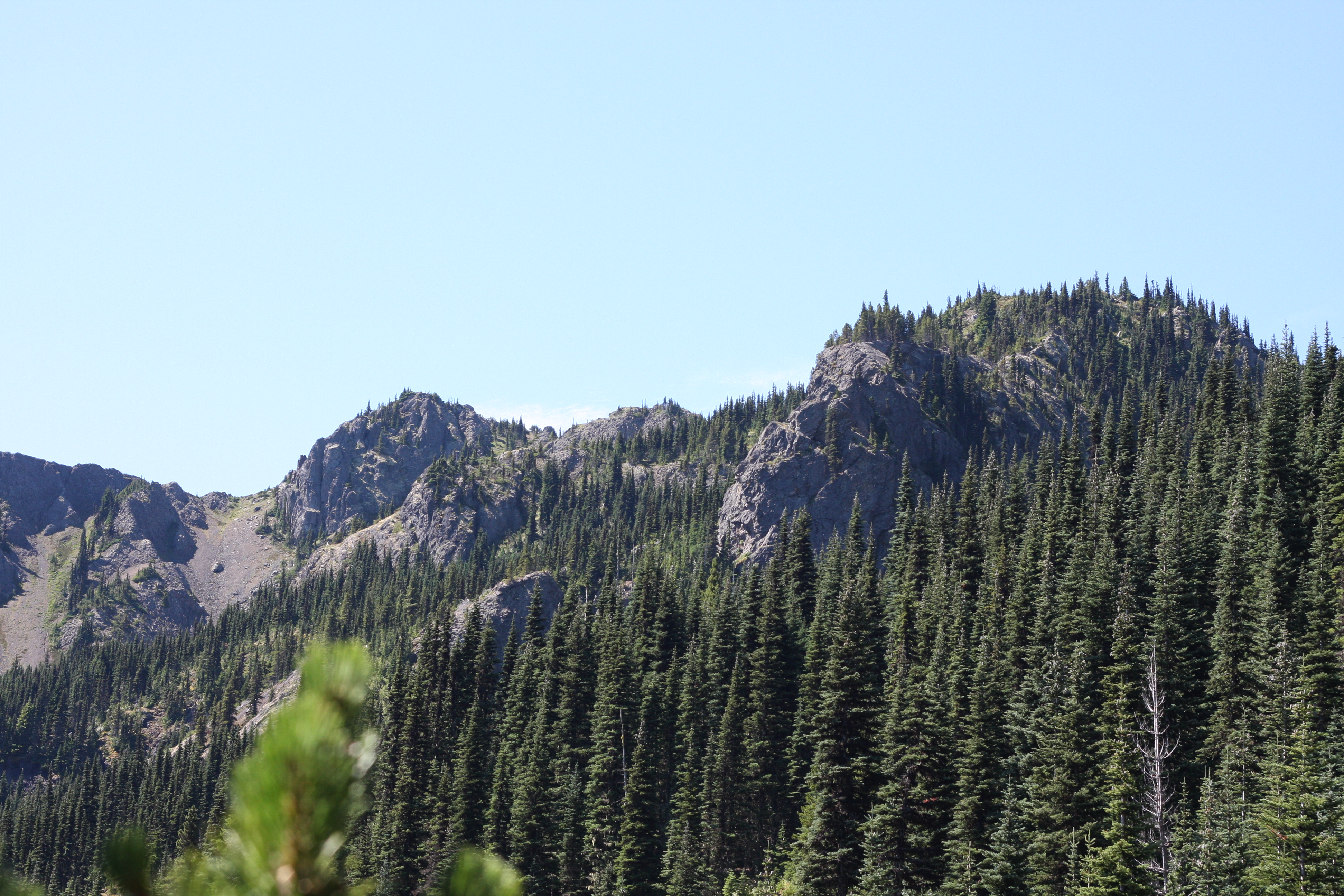 Free download high resolution image - free image free photo free stock image public domain picture -Mount Olympus, Olympic National Park, WA