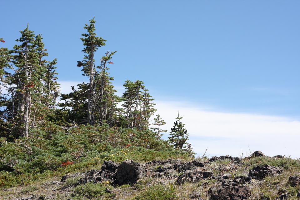 Free download high resolution image - free image free photo free stock image public domain picture  Mount Olympus, Olympic National Park, WA