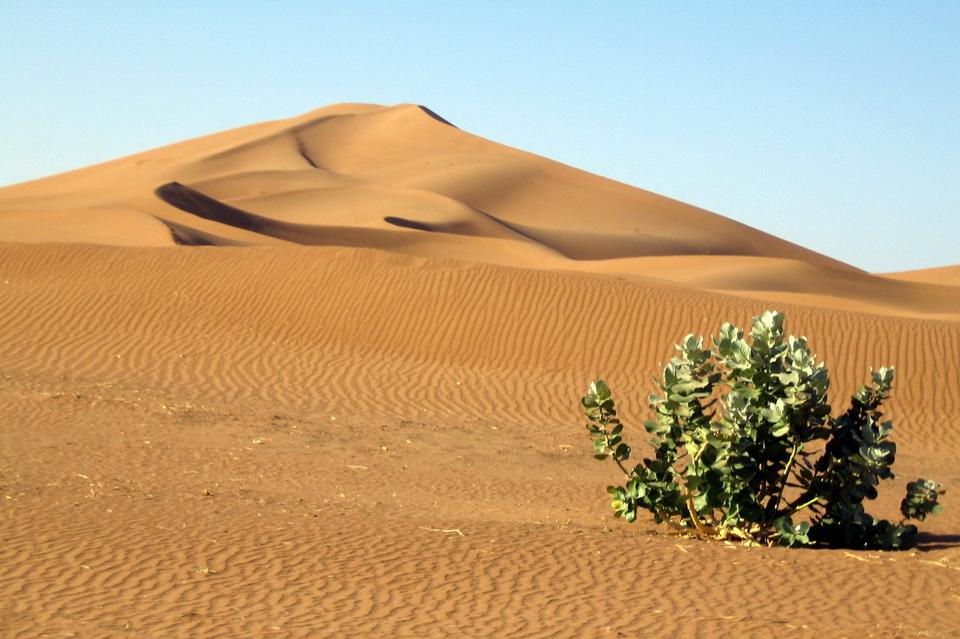 Free download high resolution image - free image free photo free stock image public domain picture  Morocco Sand dunes of Sahara desert