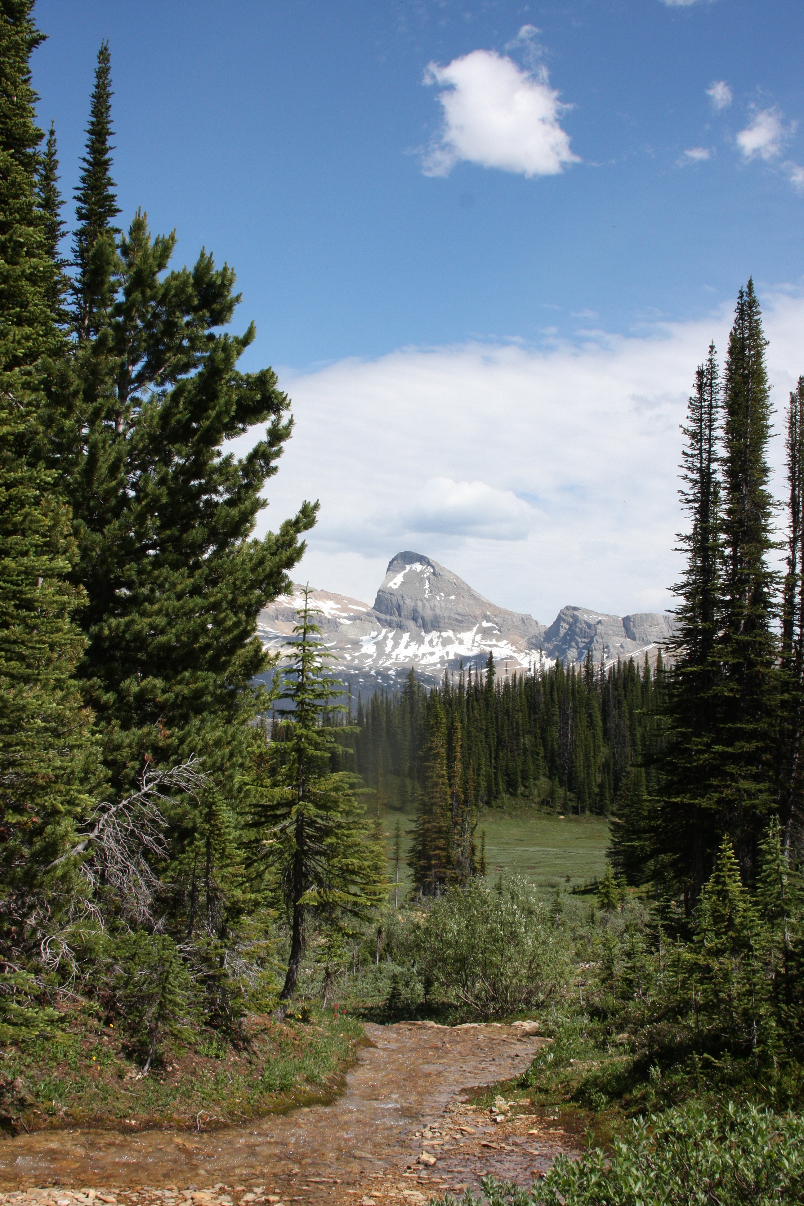 Free download high resolution image - free image free photo free stock image public domain picture -Canadian Rockies in Yoho National Park, British Columbia, Canada