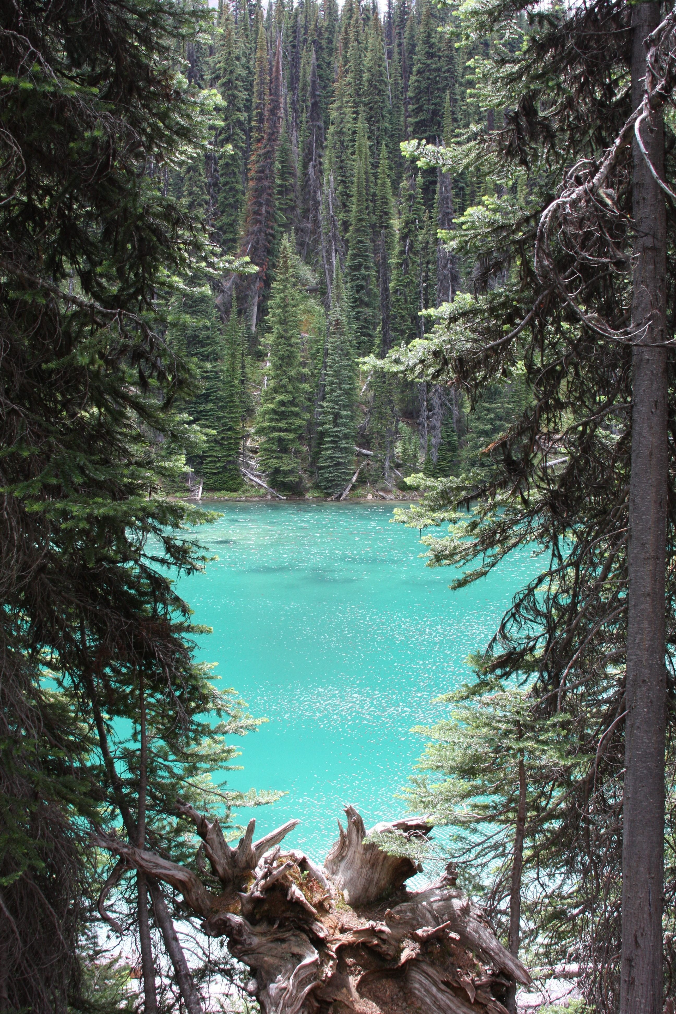 Free download high resolution image - free image free photo free stock image public domain picture -Emerald lake and Rocky Mountains