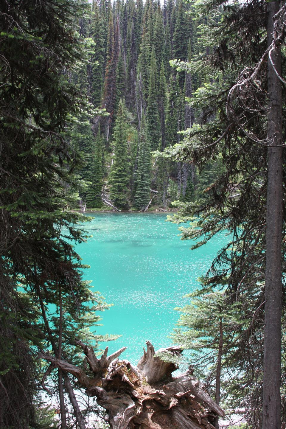 Free download high resolution image - free image free photo free stock image public domain picture  Emerald lake and Rocky Mountains