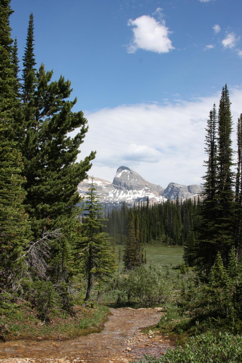 Free download high resolution image - free image free photo free stock image public domain picture  Canadian Rockies in Yoho National Park, British Columbia, Canada