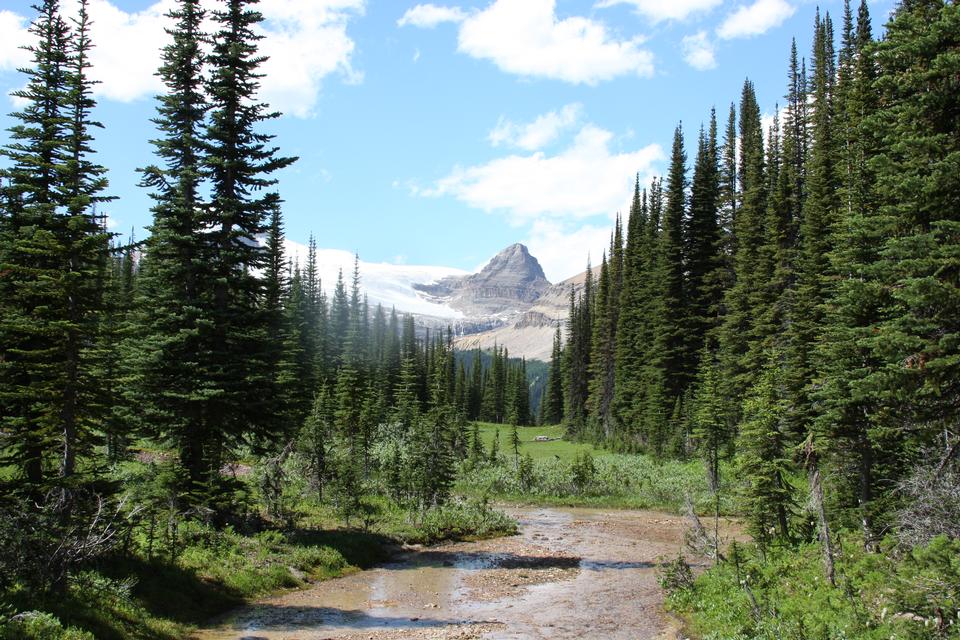 Free download high resolution image - free image free photo free stock image public domain picture  Canadian Rockies in Yoho National Park, British Columbia, Canada