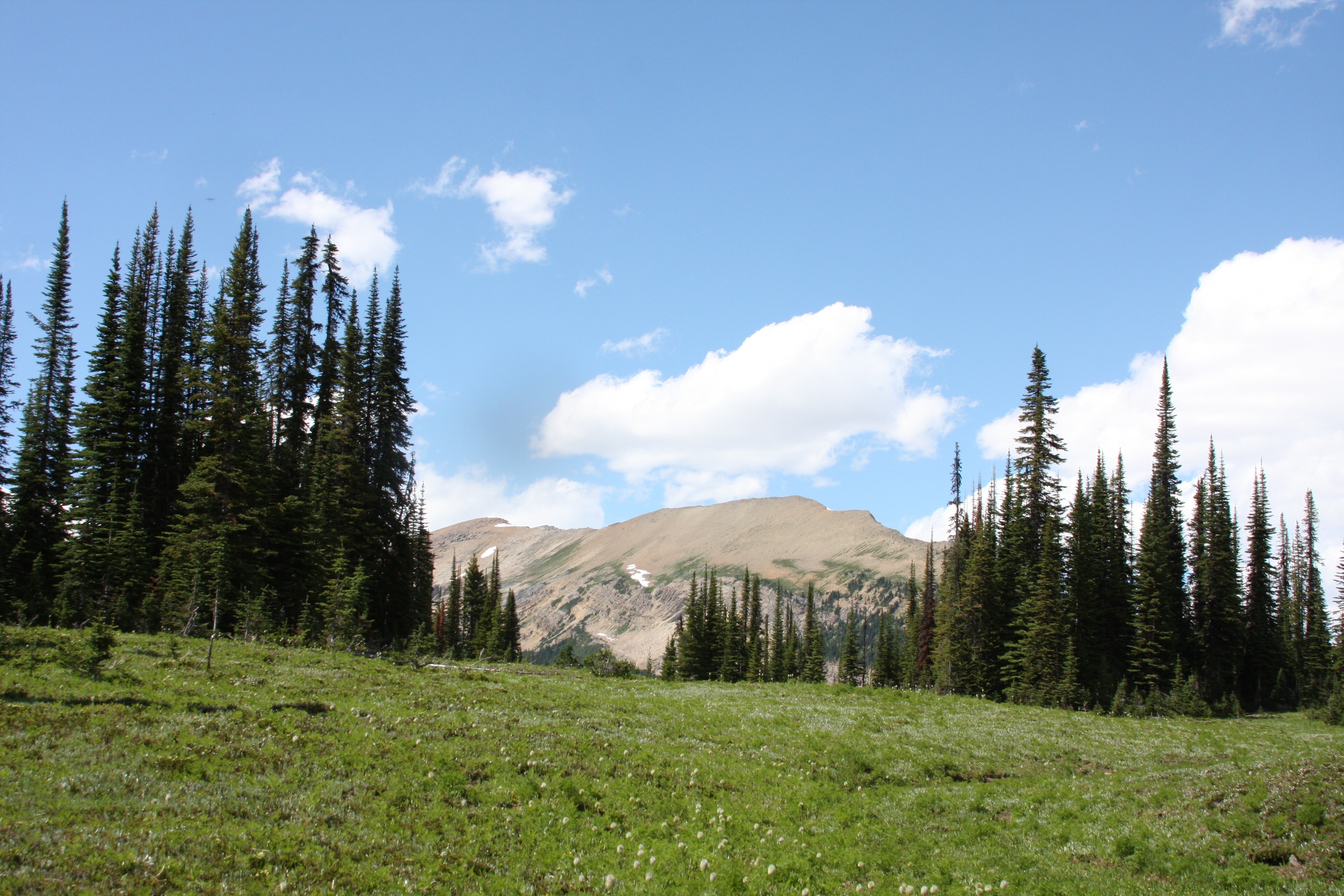 Free download high resolution image - free image free photo free stock image public domain picture -Yoho National Park, British Columbia, Canada