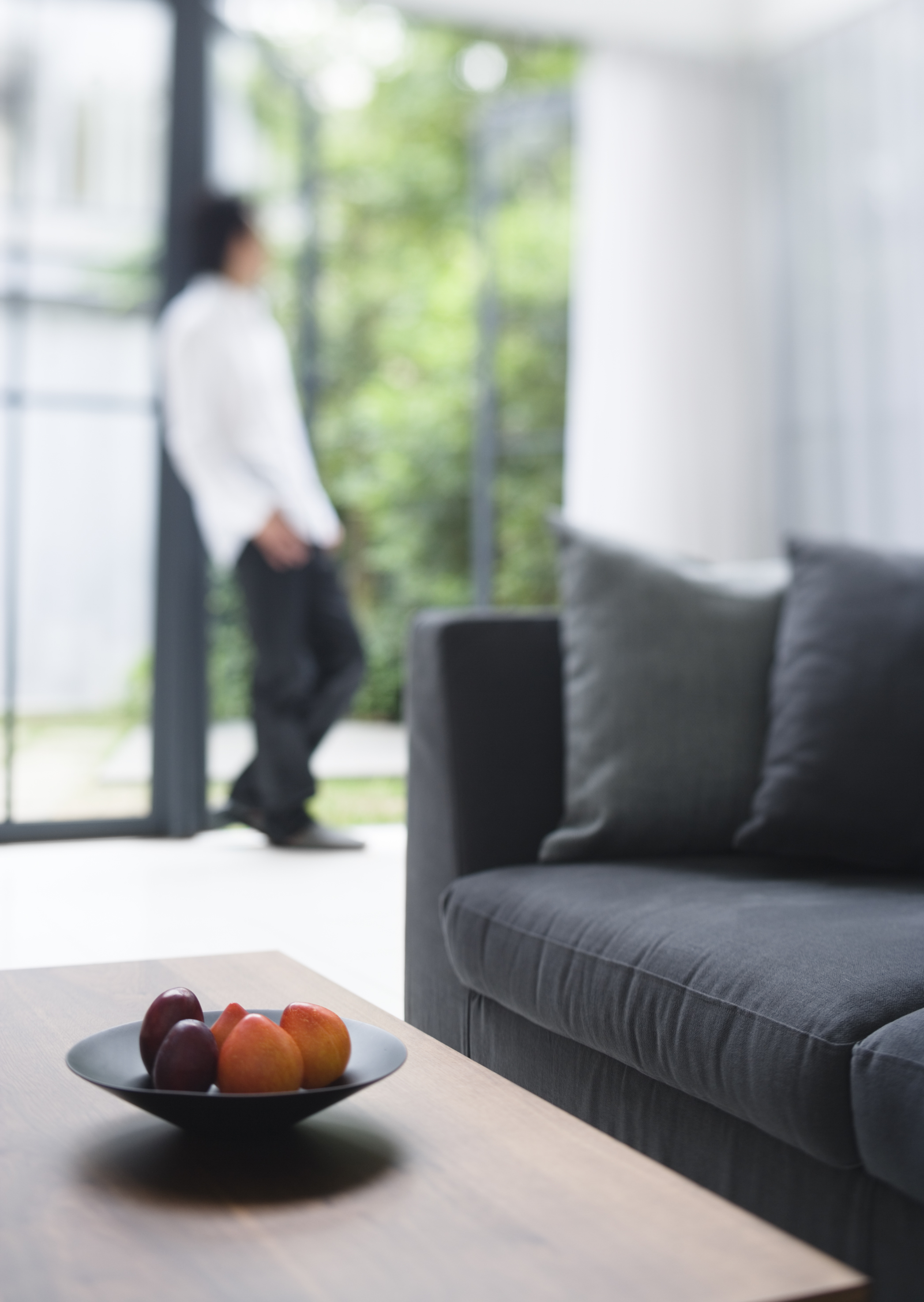 Free download high resolution image - free image free photo free stock image public domain picture -Fresh fruits on table in living room with a man