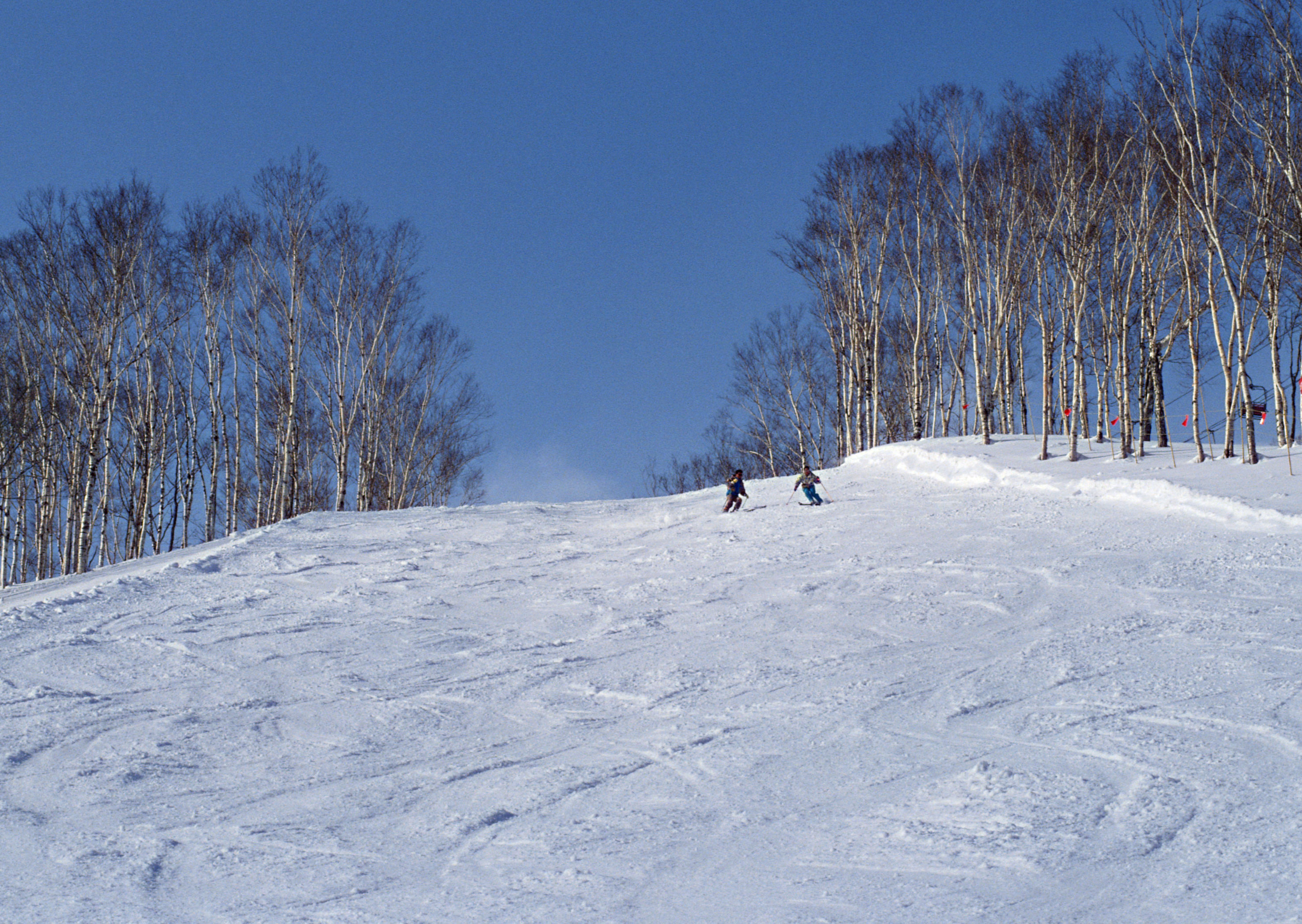 Free download high resolution image - free image free photo free stock image public domain picture -Man skiing on slope