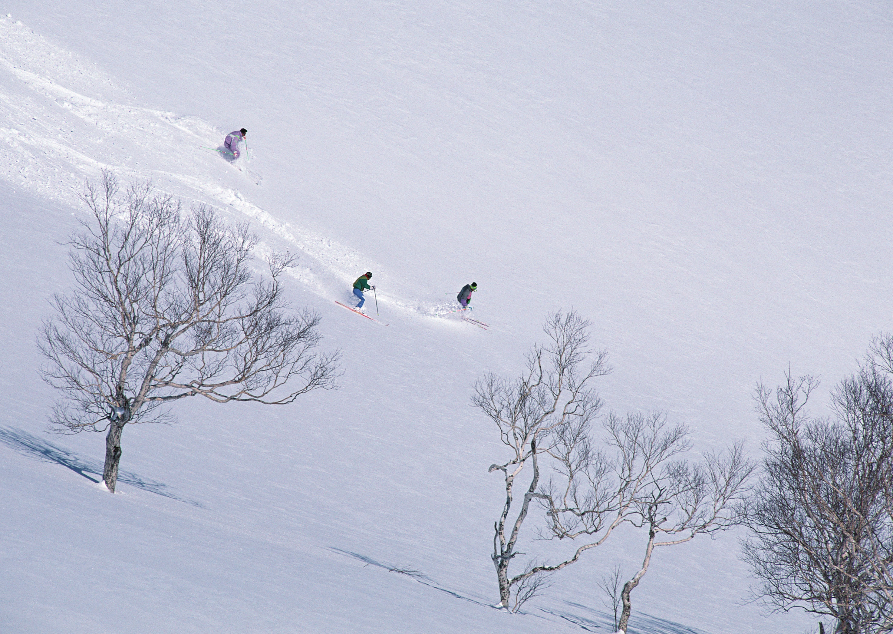 Free download high resolution image - free image free photo free stock image public domain picture -Skier in deep powder, extreme freeride