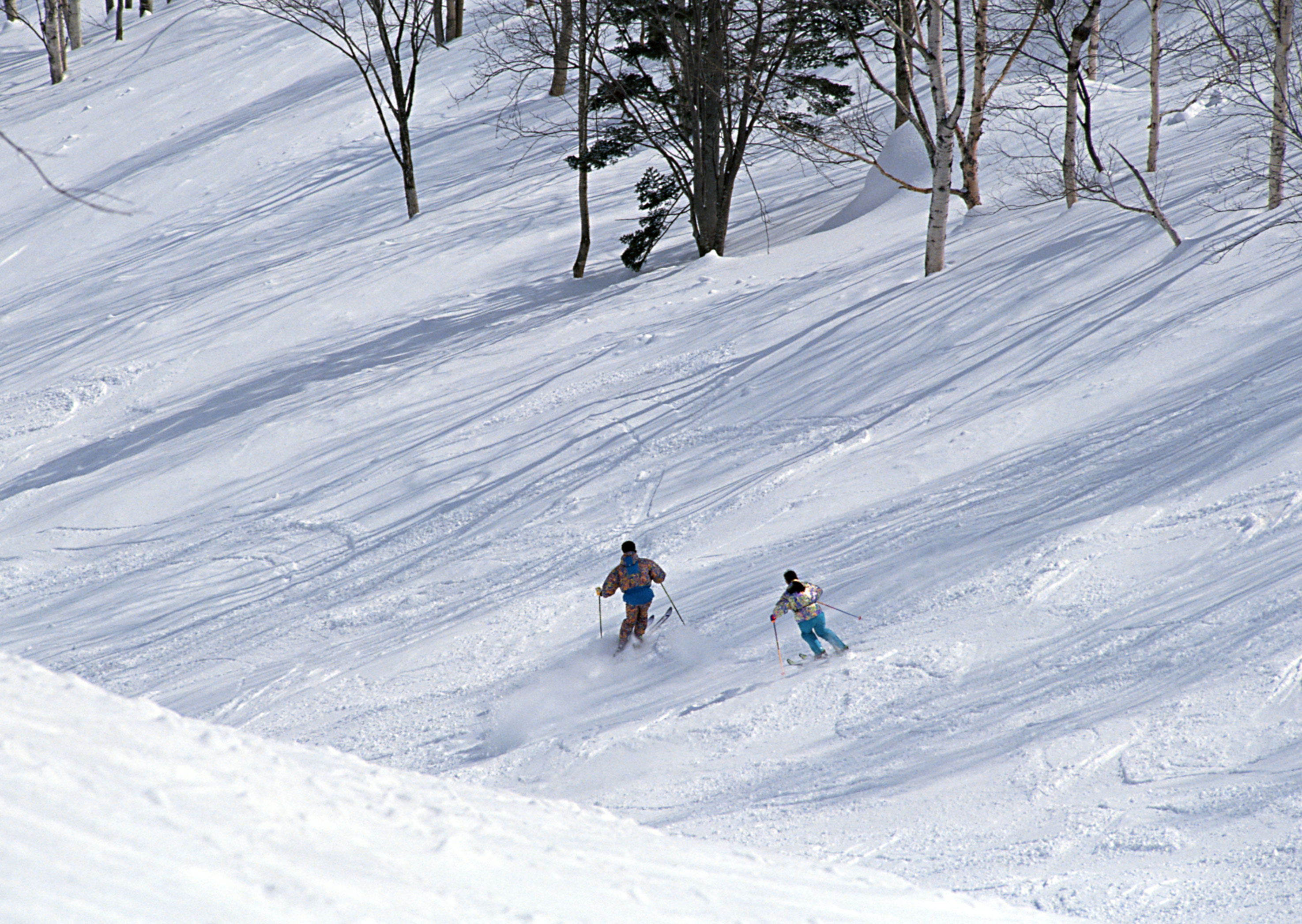 Free download high resolution image - free image free photo free stock image public domain picture -Two Skiers skiing downhill in high mountains