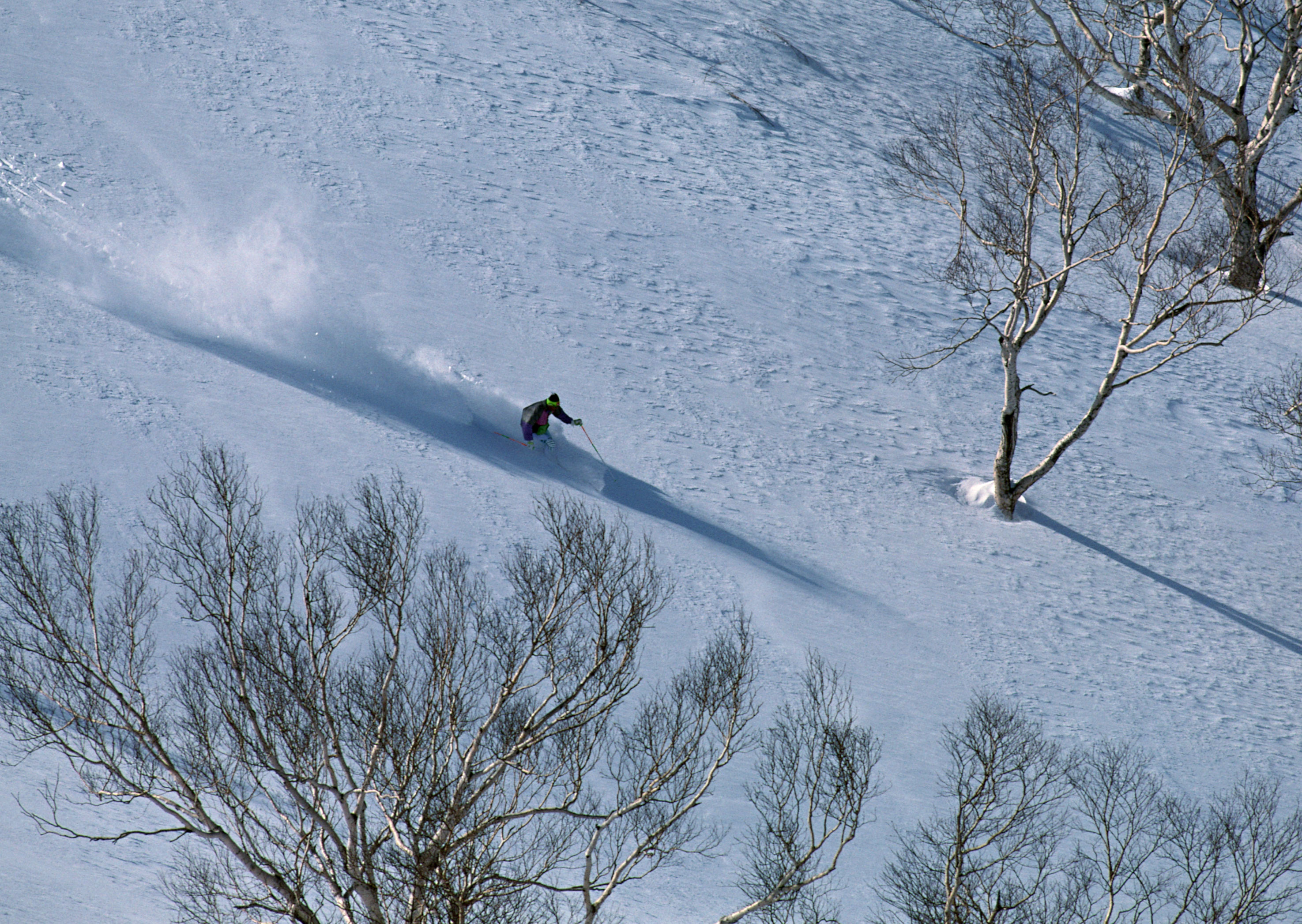 Free download high resolution image - free image free photo free stock image public domain picture -Man skiing on slope