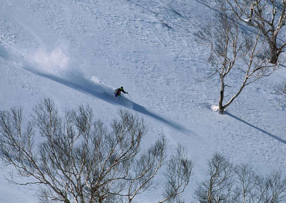 Free download high resolution image - free image free photo free stock image public domain picture  Man skiing on slope