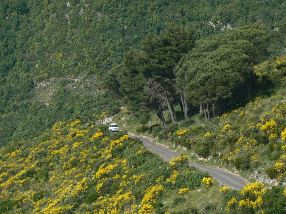 Free download high resolution image - free image free photo free stock image public domain picture  Mountain road