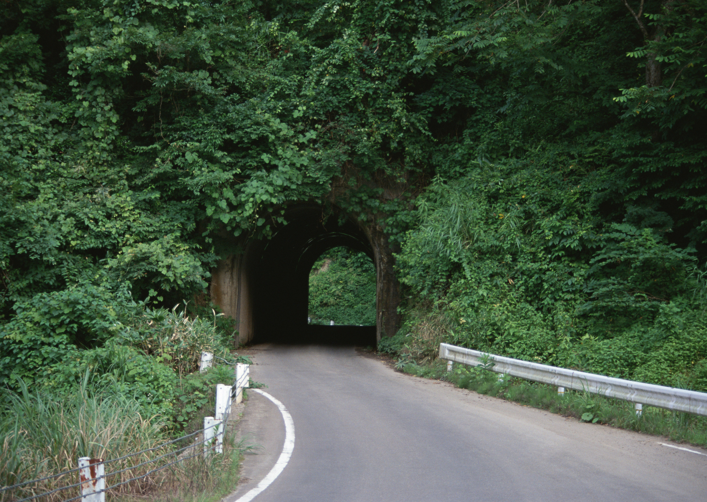 Free download high resolution image - free image free photo free stock image public domain picture -rural road with trees near it board