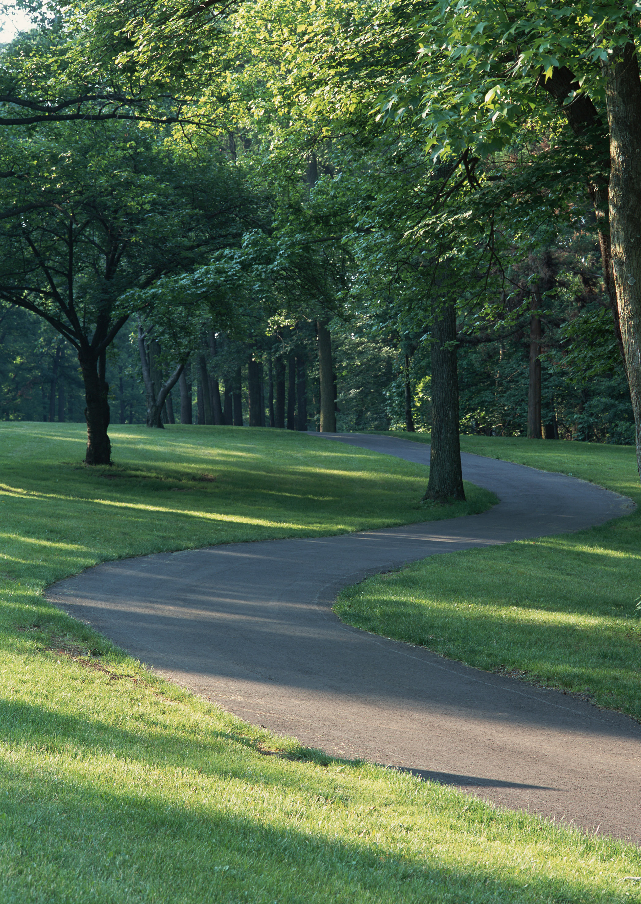 Free download high resolution image - free image free photo free stock image public domain picture -road in forest