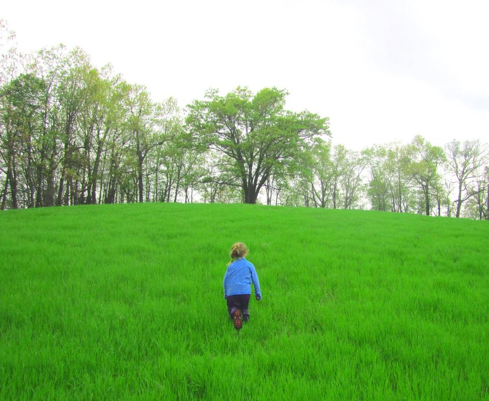 Free download high resolution image - free image free photo free stock image public domain picture  child on meadow