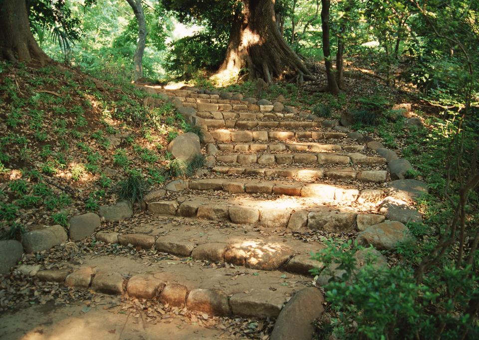 Free download high resolution image - free image free photo free stock image public domain picture  Some stone steps