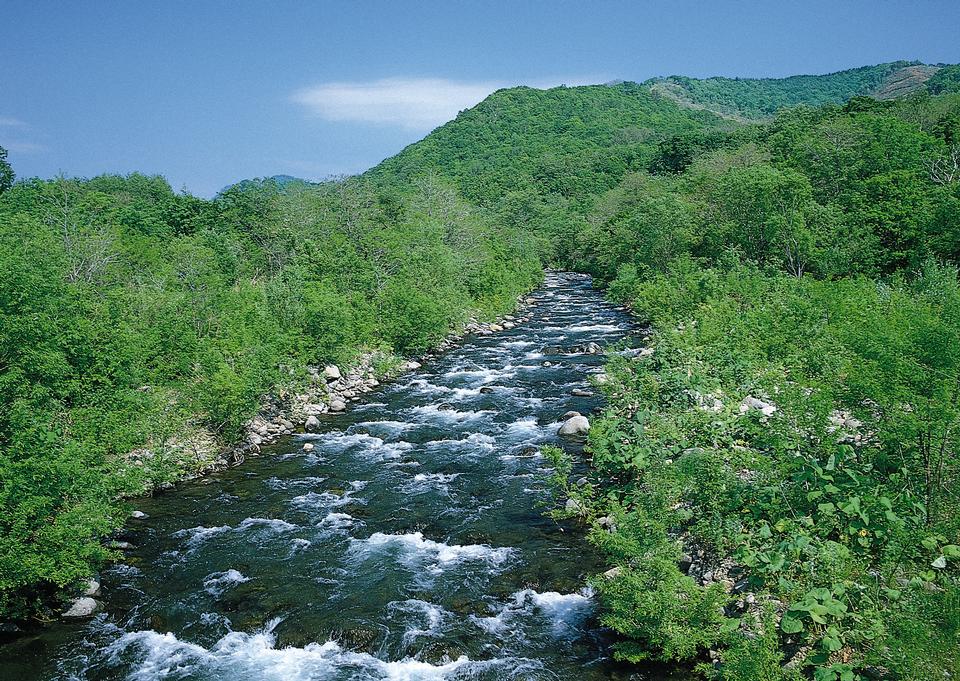 Free download high resolution image - free image free photo free stock image public domain picture  Mountain stream in a forest.