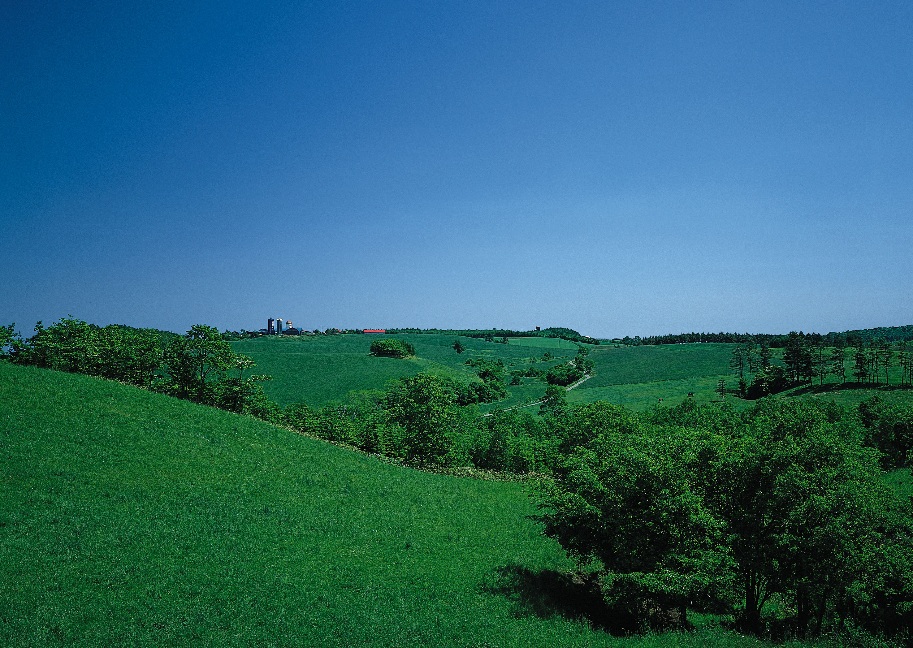 Free download high resolution image - free image free photo free stock image public domain picture -Green hills with young wheat in evening light, agricultural land