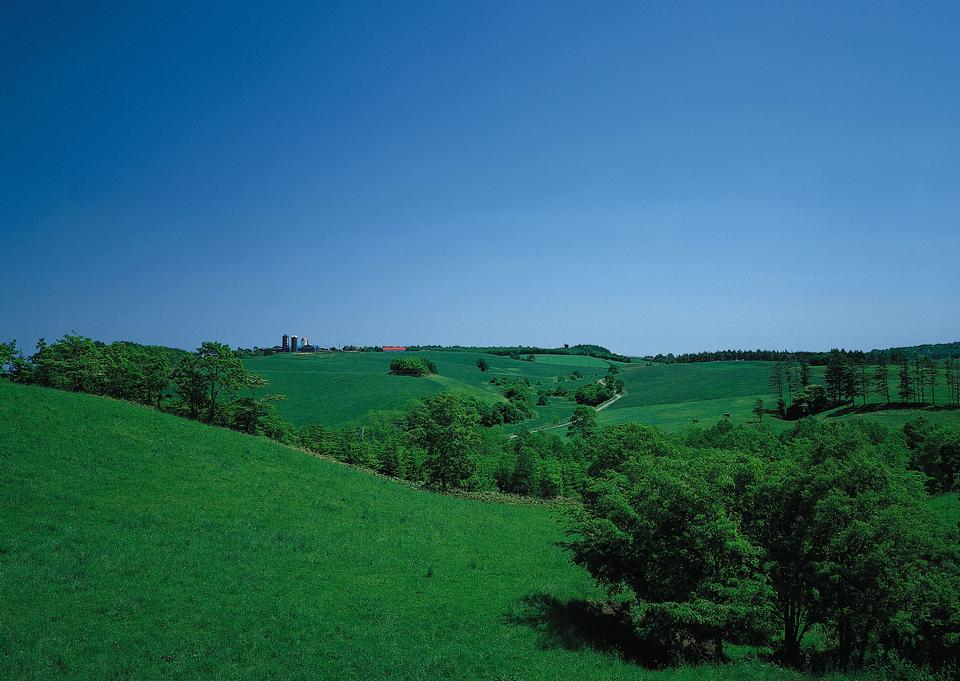 Free download high resolution image - free image free photo free stock image public domain picture  Green hills with young wheat in evening light, agricultural land