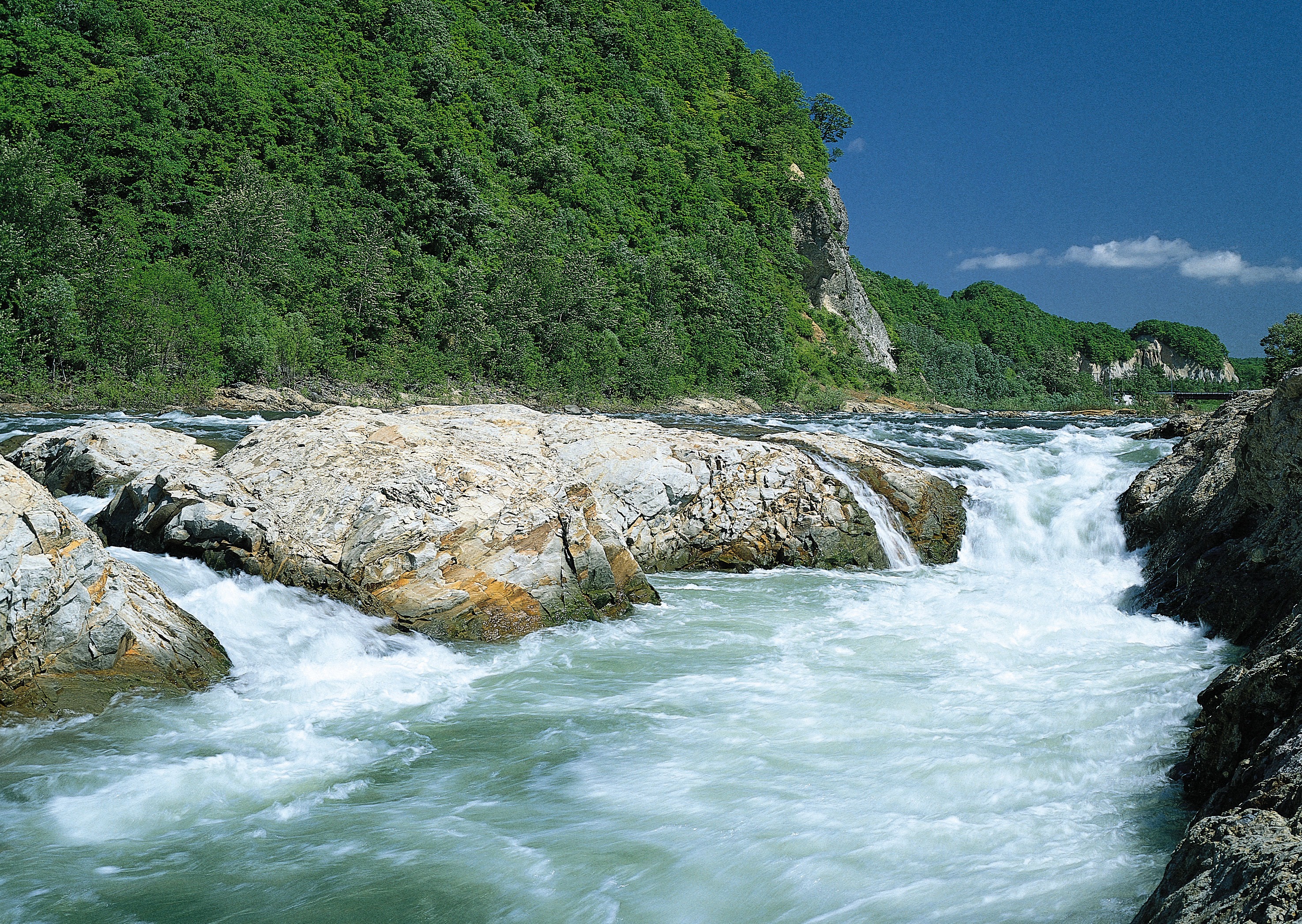 Free download high resolution image - free image free photo free stock image public domain picture -landscape with mountains trees and a river in front