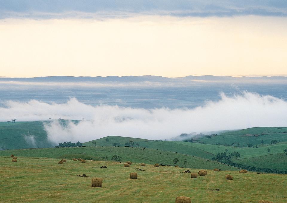 Free download high resolution image - free image free photo free stock image public domain picture  Harvesting hay. summer field of hay bales